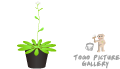 Arabidopsis